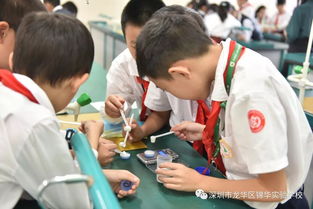 關注食品安全 健康伴我成長