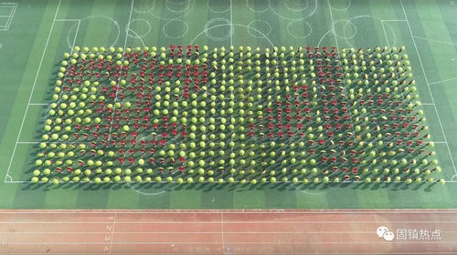 固鎮縣實驗小學教育集團第十四屆趣味運動會 全程航拍圖片