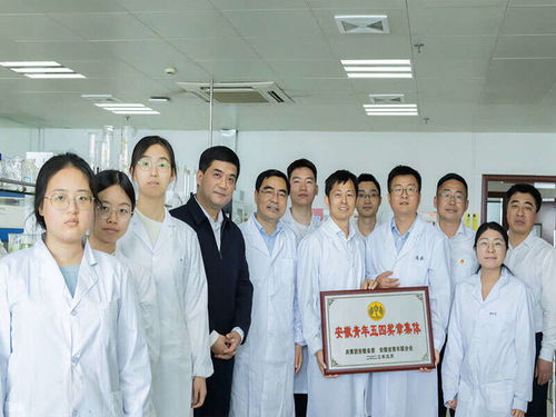 團安徽省委集中開展尋訪 皖美青年 活動