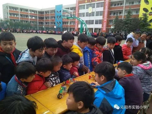 贊 實驗小學(xué)新獲一項 國字號 榮譽