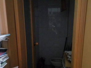 圖 文化路小學(xué) 迎勝中學(xué) 實驗設(shè)備廠宿舍 空調(diào)兩臺 領(lǐng)包入住 泰安租房 泰安列表網(wǎng)