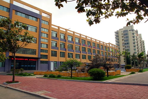 沂水縣第三實驗小學