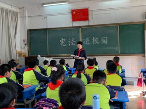 持續發力 全市憲法日精彩活動集錦 一