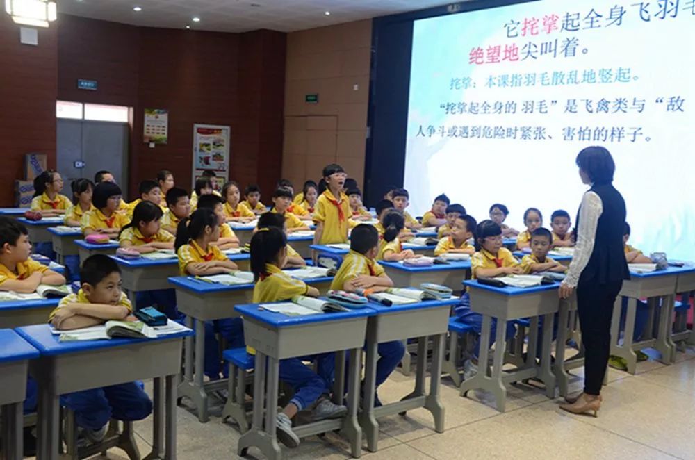 【八角樓動態】美麗的遇見,美好地切磋 --福建省名師蘭臻工作室第二期培訓班學員、漳州市名校長走進晉江實小參觀交流