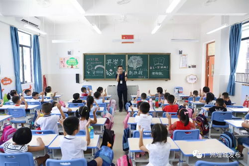 增城實施中小學?；A教育設施三年提升計劃,8所新學校順利開學