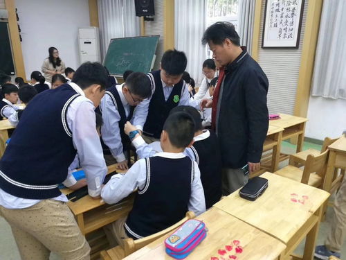 東方教具優秀案例賞析 南京芳草園小學