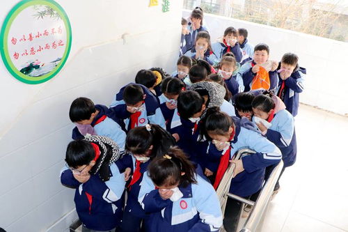 鳳陽新聞網(wǎng) 實驗小學(xué)的教育實踐與成就