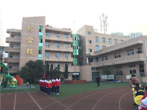 雨城區(qū)太平實驗小學舉行2019春季開學典禮