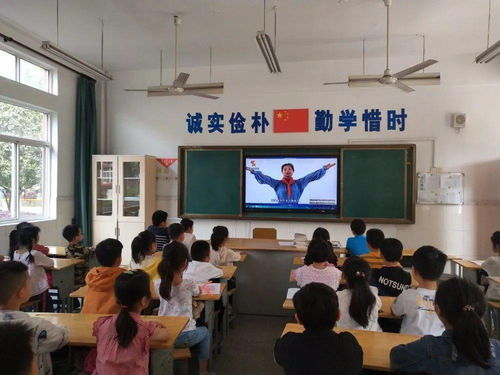 花兒朵朵向陽開——無錫市隆亭實驗小學一年級入隊儀式紀實