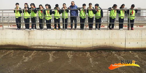 唐山豐潤 節水護水，從我做起——實驗小學在行動