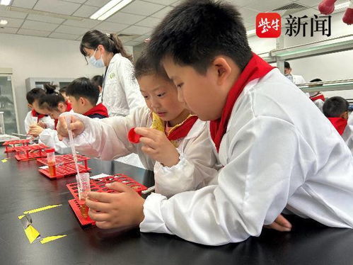 食品安全進校園——實驗小學實驗室開放日活動紀實